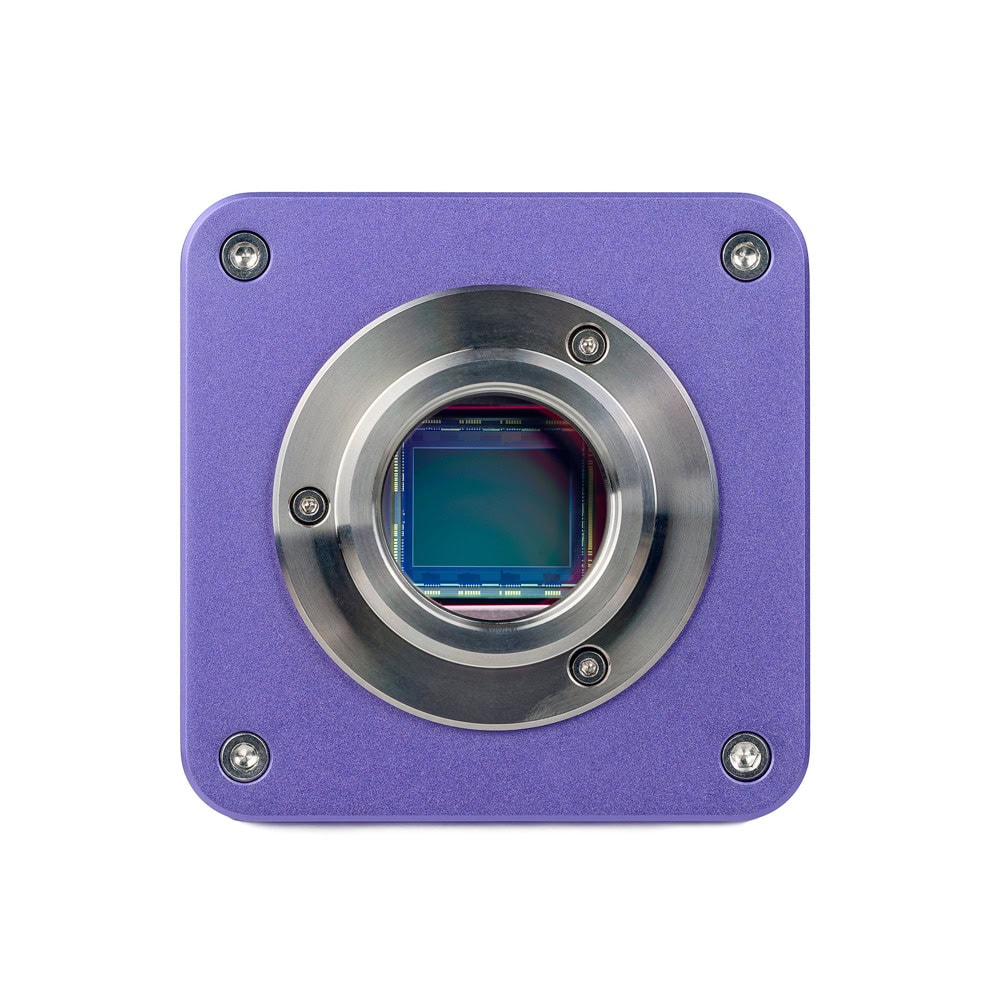 MAGUS Pol D800 LV83040