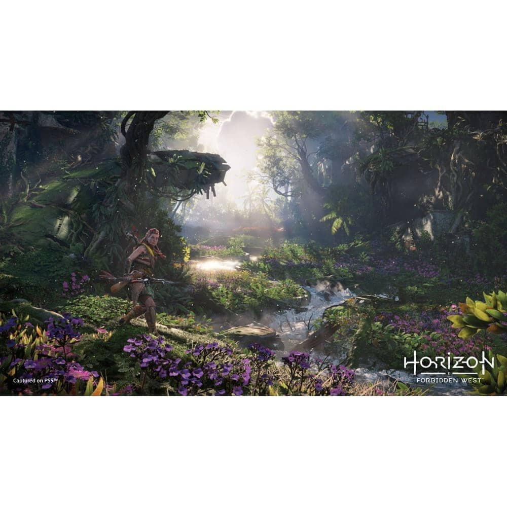 Horizon Forbidden West - CE (PS4/PS5)