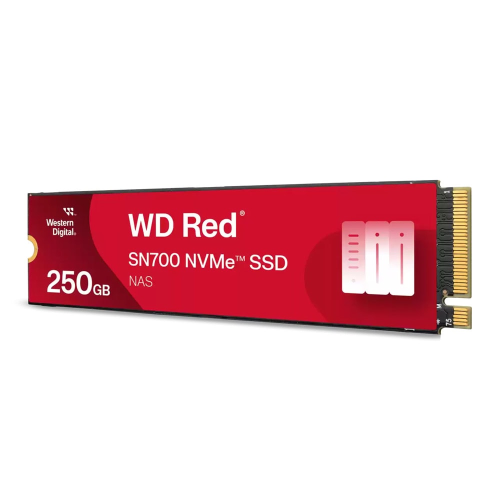 Western Digital Red SN700 WDS250G1R0C-68BDK0