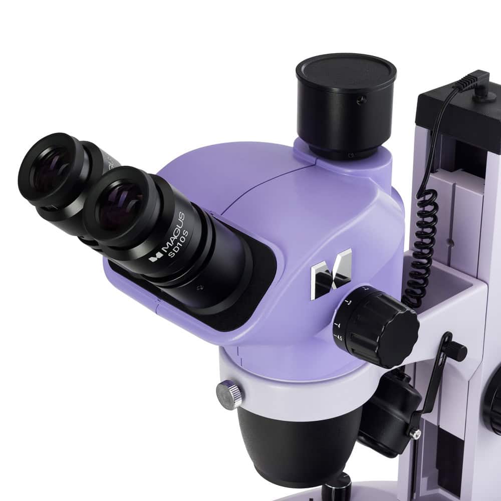 MAGUS Stereo D7T BASE