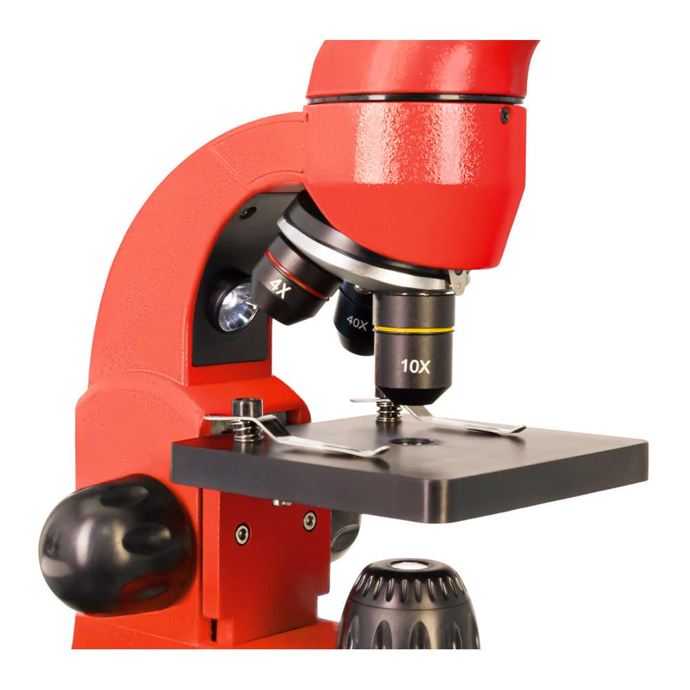 Levenhuk Rainbow 50L Red LV69128