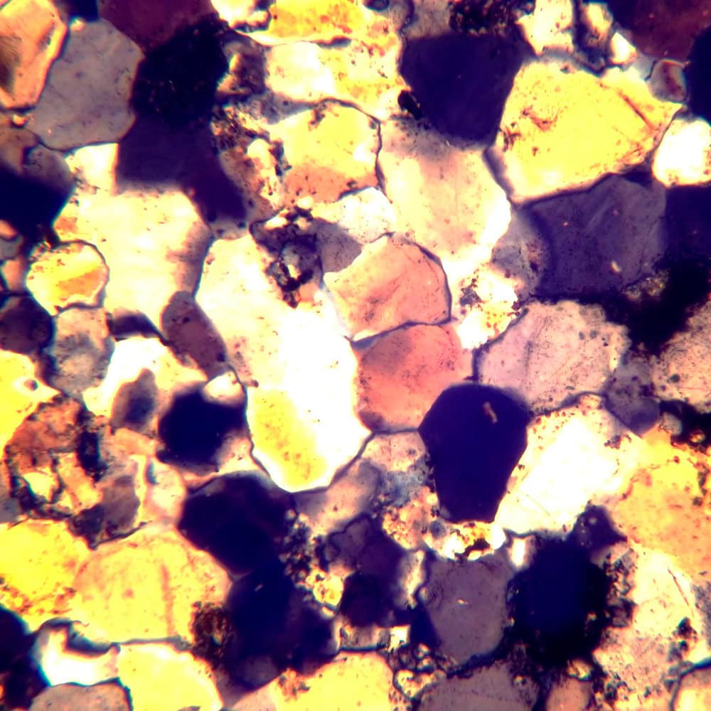 MAGUS Pol D800 LCD LV83041