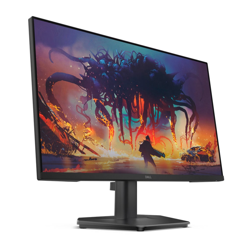 Dell SE2425HG