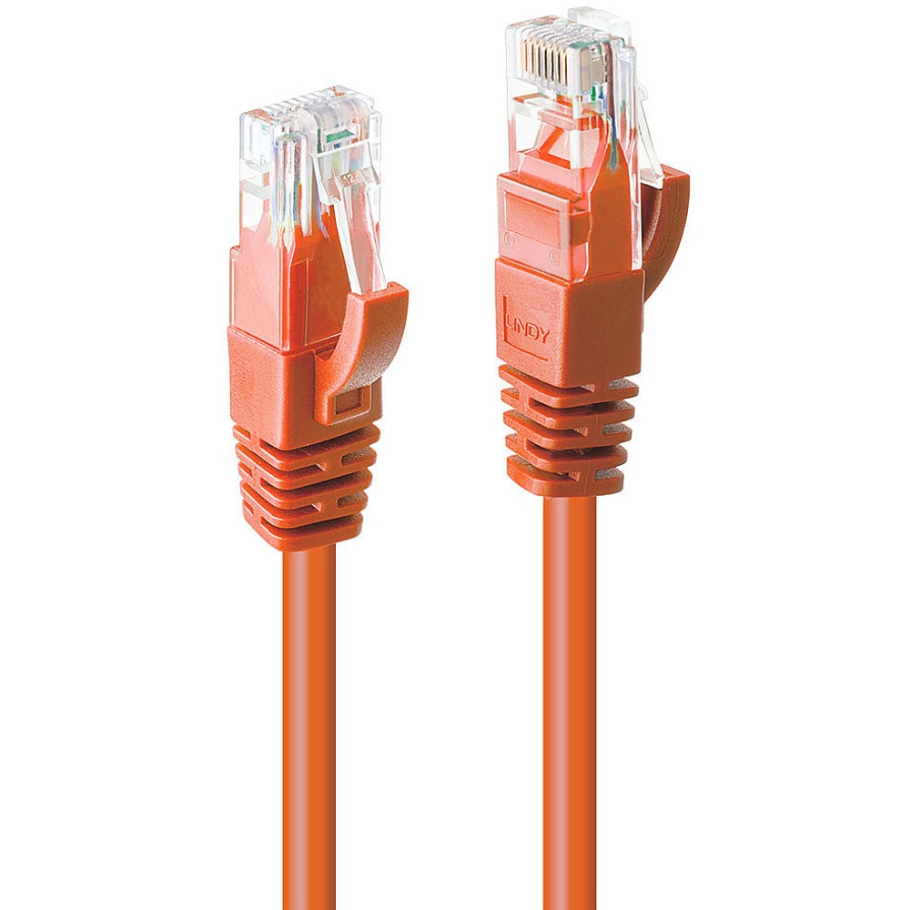 CNCPTLNY48108