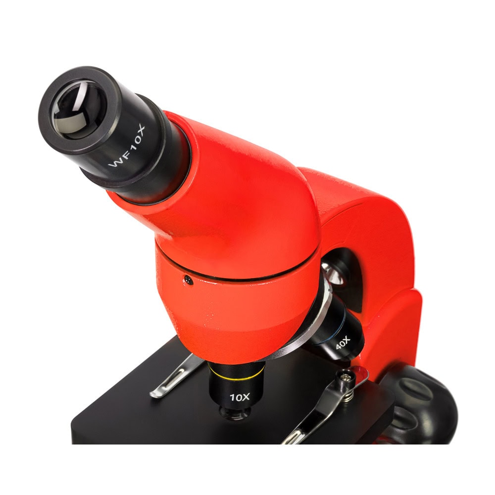 Levenhuk Rainbow 50L Red LV69128