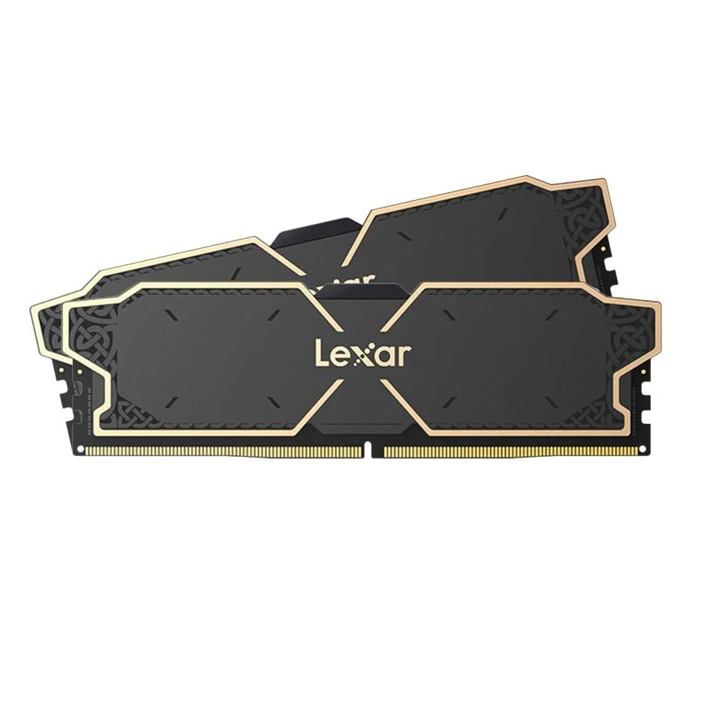 Памет Lexar LD5U16G60C38LG-RGD