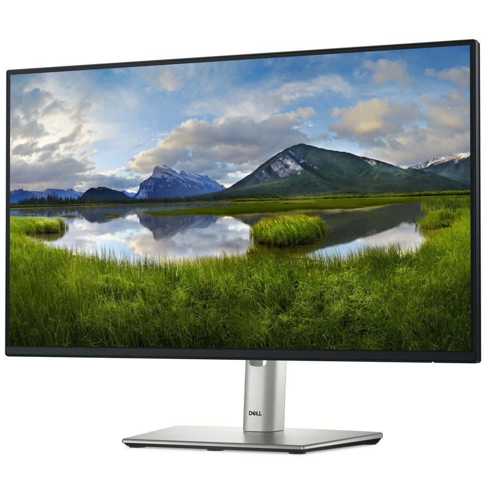 Dell P2425HE