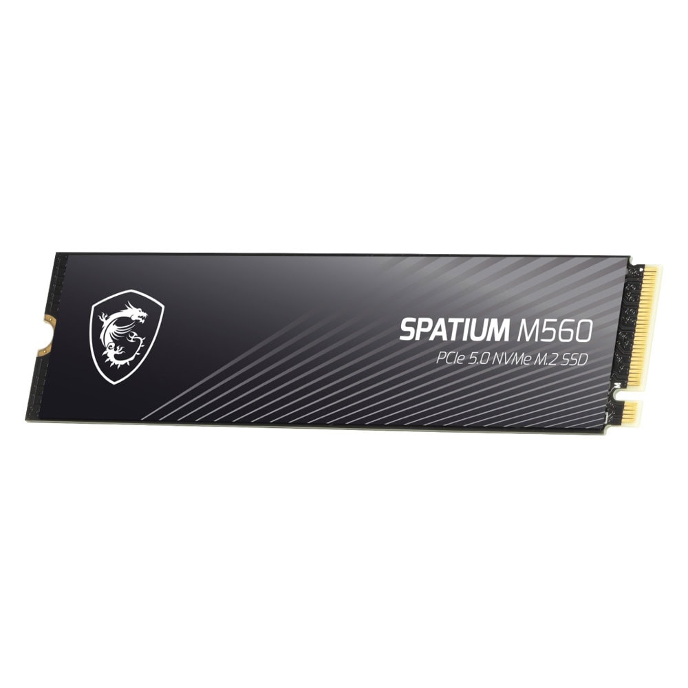 MSI SPATIUM M560 2T PCIE5.0