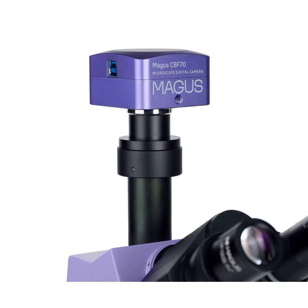 MAGUS Pol D800 LV83040