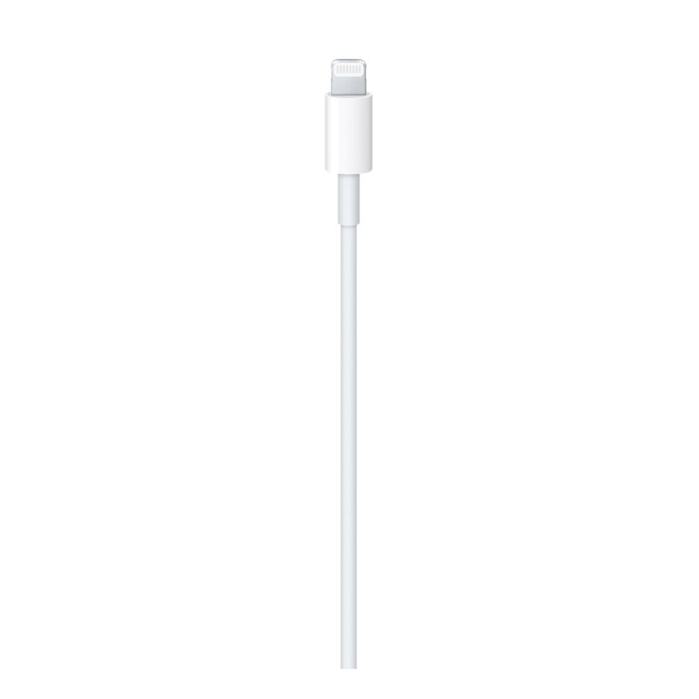 Apple USB-C to Lightning Cable (1 m)