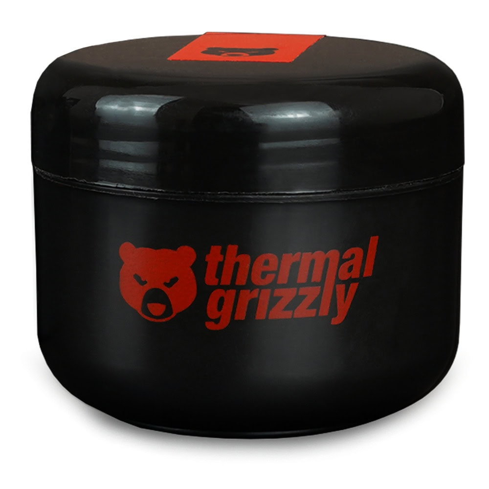 Thermal Grizzly Putty Advanced - 100g TG-P-A-100-R