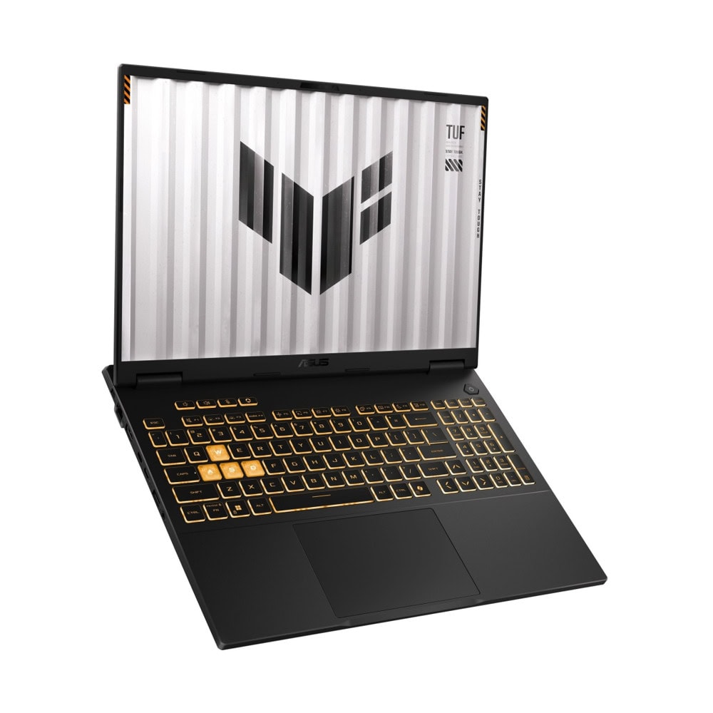 Asus TUF Gaming F16 FX608JMR-RV024 90NR0NB1-M00330
