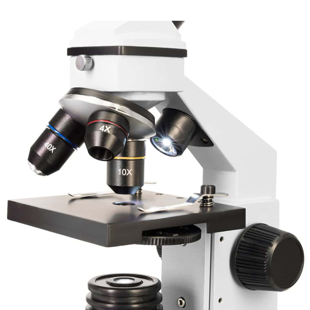 Levenhuk Rainbow 2L PLUS LV70233