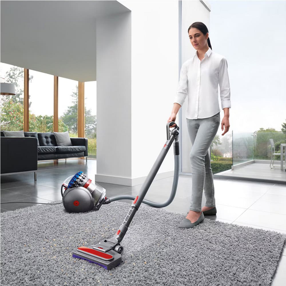 Dyson Big Ball Absolute 2 447250-01