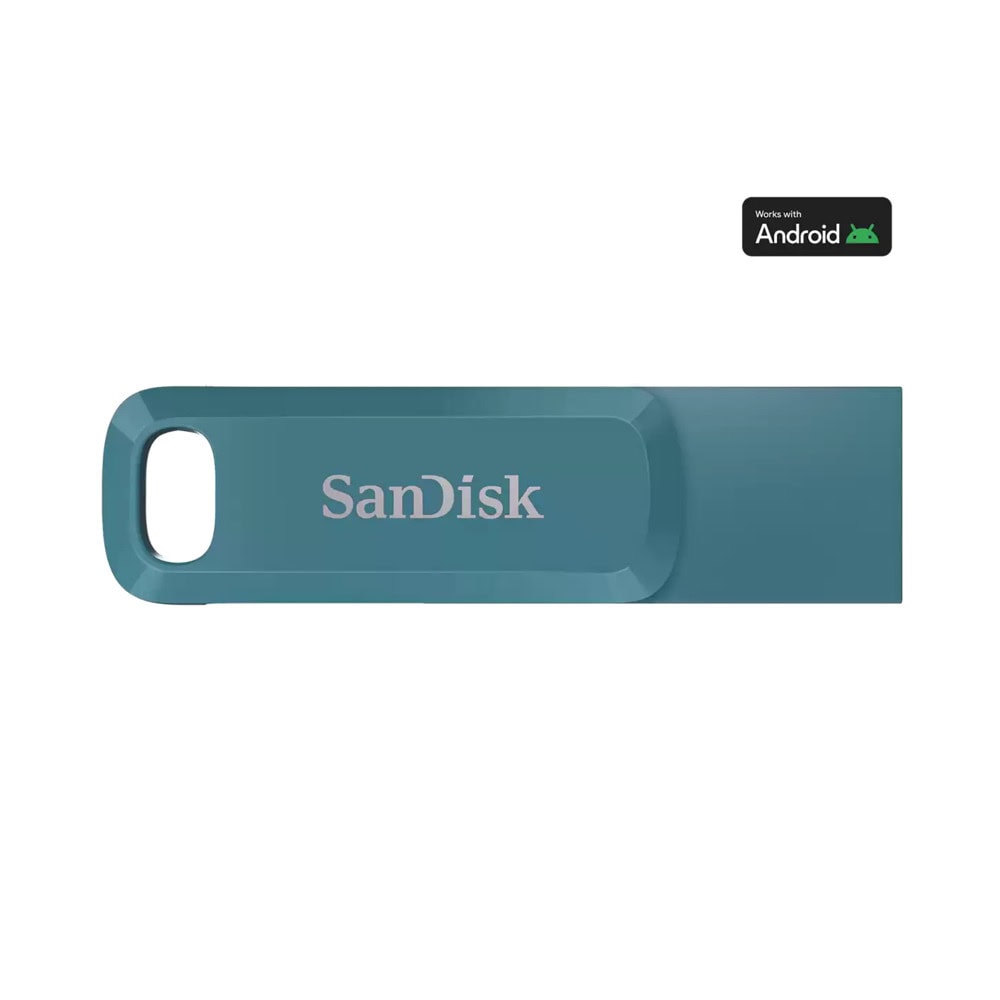 SanDisk SDDDC3-256G-G46NBB