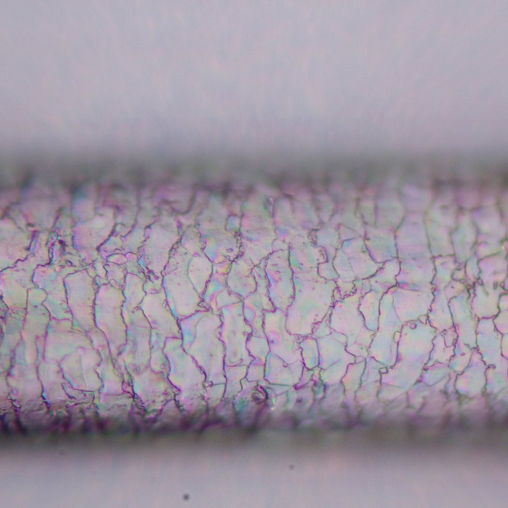 MAGUS Pol D800 LV83040