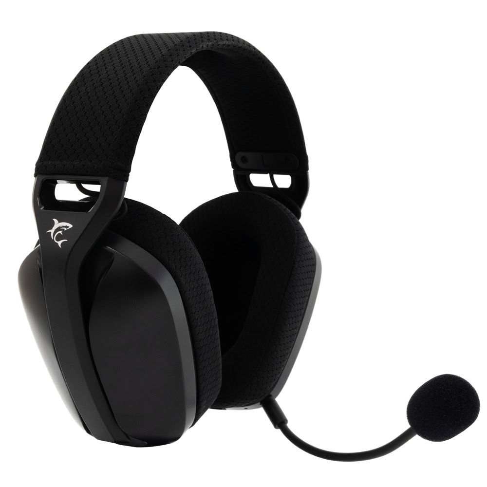 white shark butterfly black