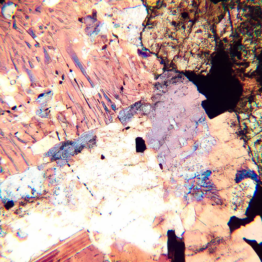 MAGUS Pol D800 LCD LV83041