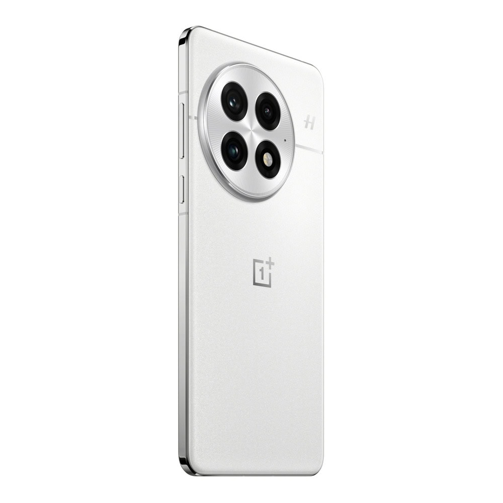 OnePlus 13 16GB/512GB Arctic Dawn 5011110312