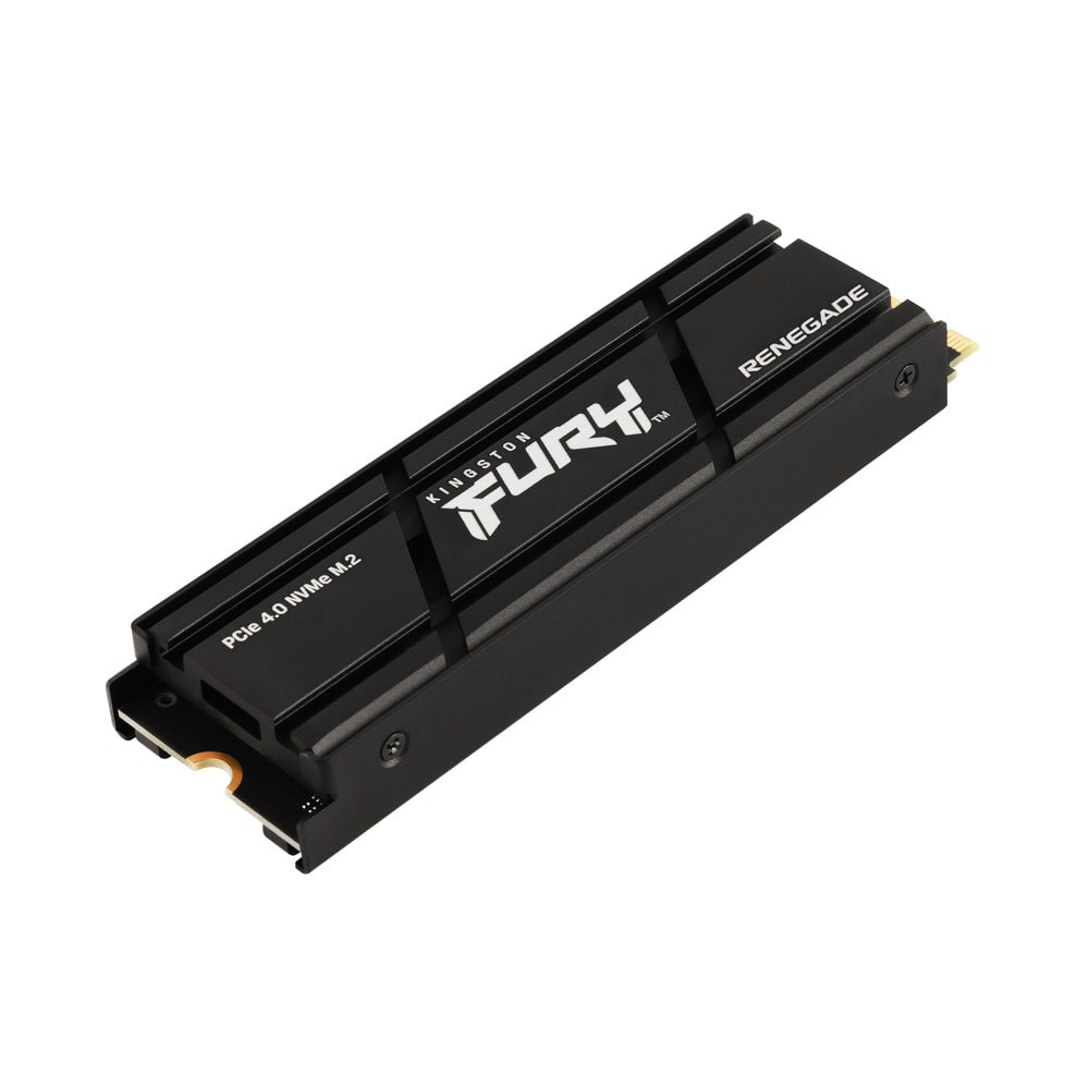 Kingston SFYRDK/4000G