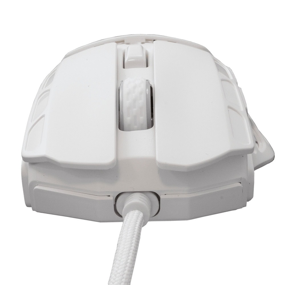 White Shark GM-5016 ECTOR White