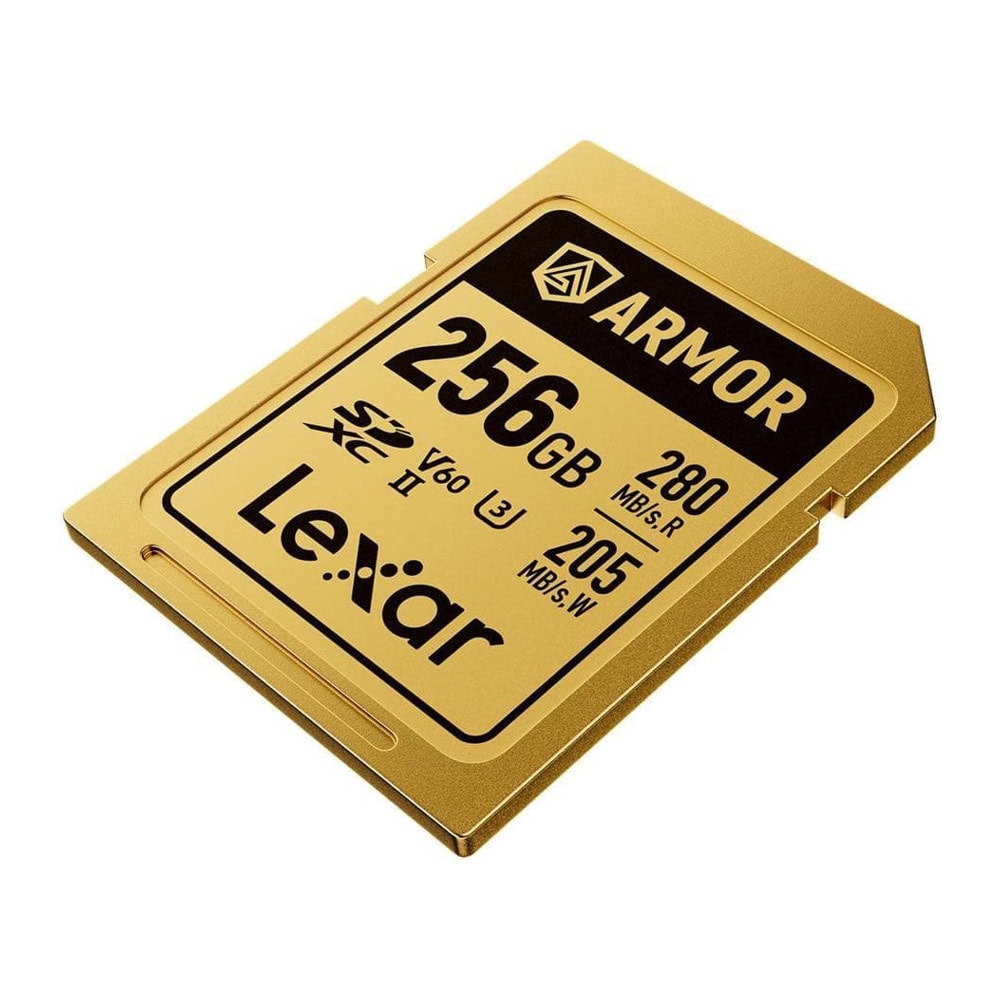 Lexar 256GB Armor Gold LSDAMGL256G-RNNNG