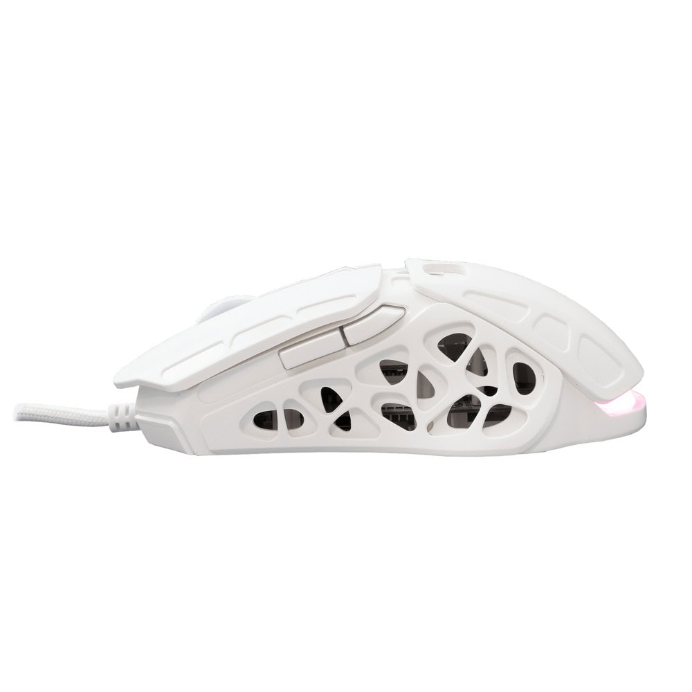 White Shark GM-5016 ECTOR White