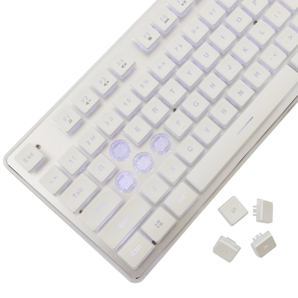 white shark tachi бяла