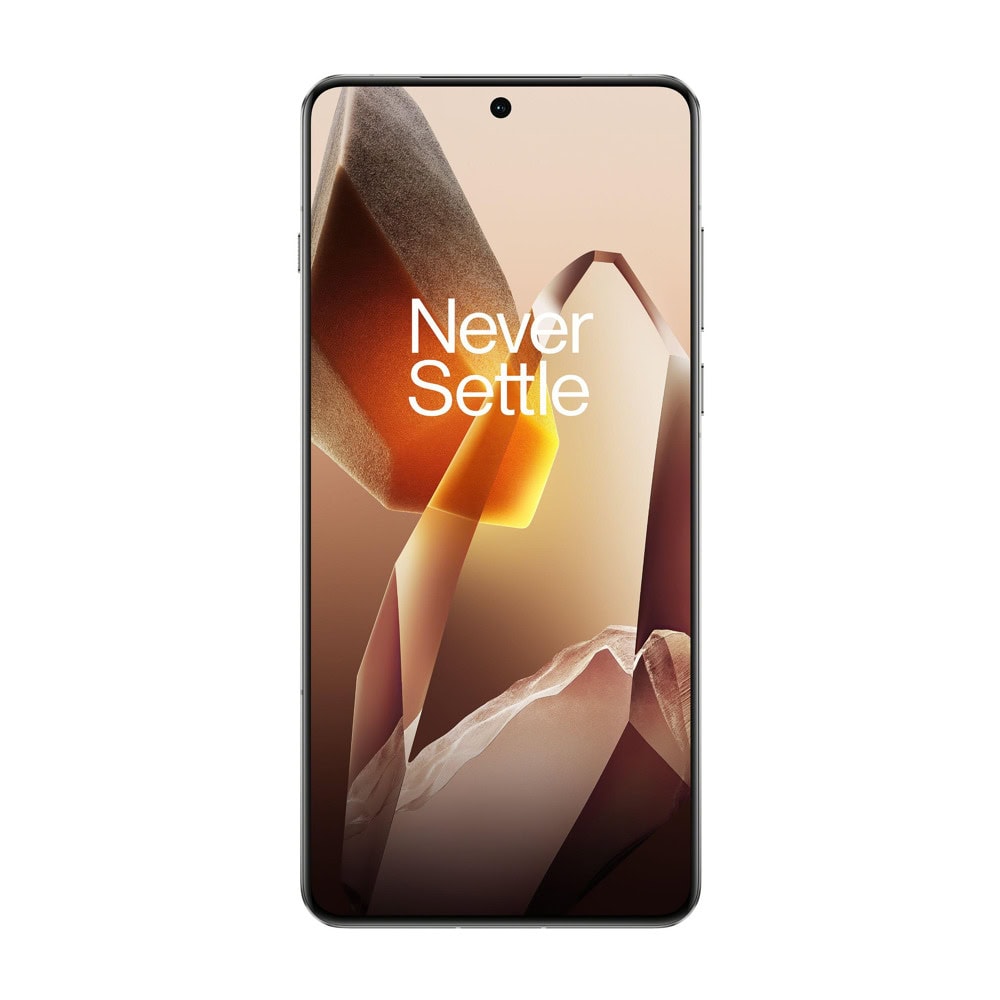 OnePlus 13 16GB/512GB Arctic Dawn 5011110312