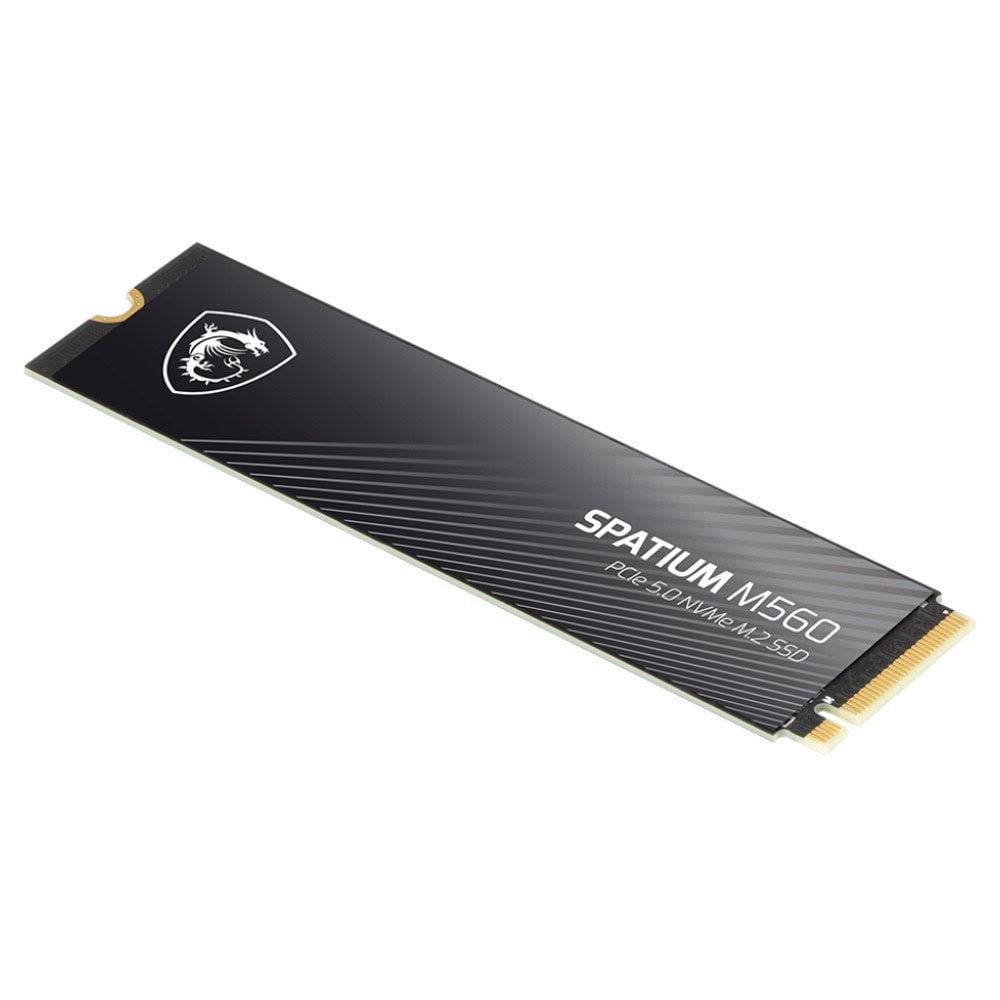 MSI SPATIUM M560 2T PCIE5.0