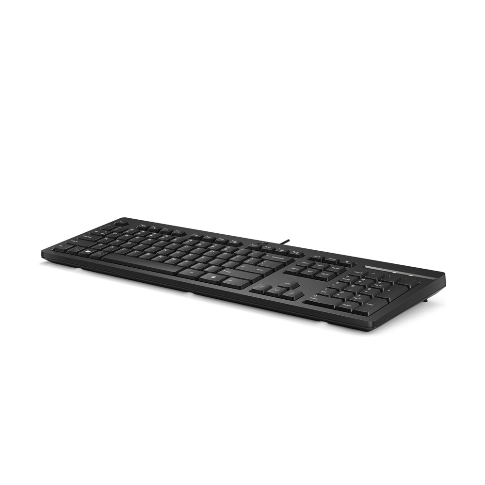 HP 125 Wired Keyboard (BG)