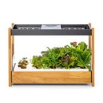 Click and Grow Smart Garden 25 Black