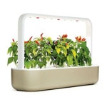 Саксия Click and Grow Smart Garden 9 SG9S7UNI