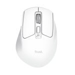 trust niven white 26022