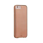 ACCGCASEMATECM033600