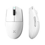 MOMCHOSEG3V24