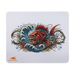 baracuda pad-coral