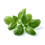 семена click and grow босилек 3 броя