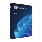Windows 11 Pro N All languages ESD License Key