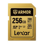 Lexar 256GB Armor Gold LSDAMGL256G-RNNNG