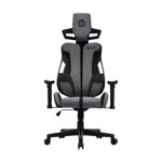 Canyon Morphos ABCH01 Gray CNS-ABCH01GYB