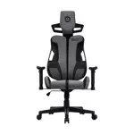 Canyon Morphos ABCH01 Gray CNS-ABCH01GYB
