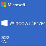 Windows Server CAL 2022 DSP OEI 5 Clt User CAL