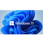 Microsoft Windows 11 Pro 64Bit Eng 1pk DSP