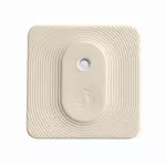 Shelly Blu H&T ZB Ivory SBHT-203C