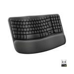 Logitech Wave Graphite US International 920-012334
