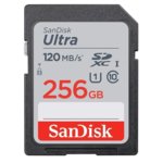 SanDisk SDSDUN4-256-GN6IN