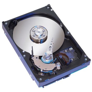 1000GB Seagate SATA2 7200rpm 32MB