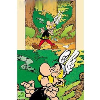 Asterix These Romans are Crazy