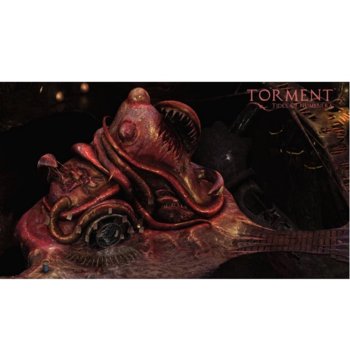 Torment: Tides of Numenera Collectors Edition